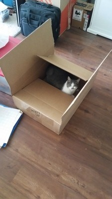 Riley checking the box